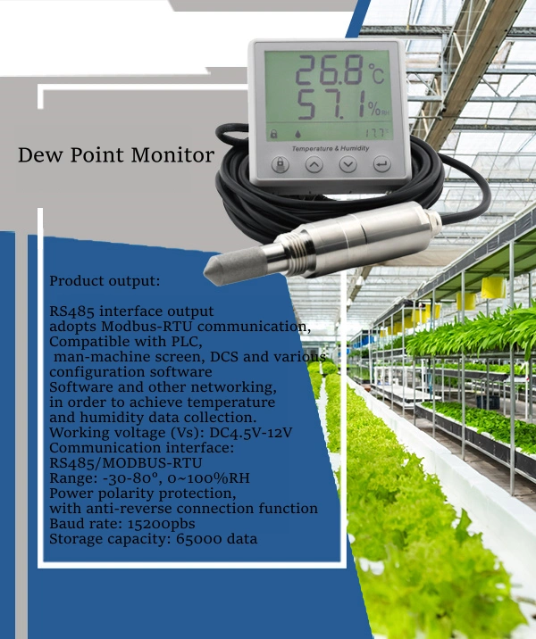 Dew Point Monitor for the Fruit and Vegetable Industry